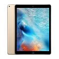 iPad Pro 12.9.