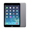 iPad mini 2.