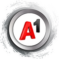 A1.