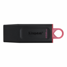 Kingston Data Traveler Exodia Onyx DTX USB flash memorija 256GB 3.2 crna.