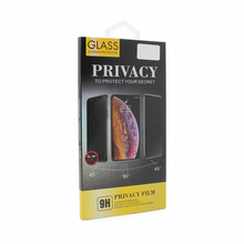 Tempered glass (zastitno staklo za ekran) Privacy 2.5D full glue - iPhone 12/12 Pro 6.1 crna.