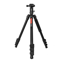 Tripod Kingjoy BT-258A.