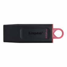 Kingston Data Traveler Exodia Onyx DTXM USB flash memorija 256GB 3.2 crna.