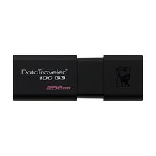 USB Flash memorija Kingston Data Traveler 3.0 256GB DT100G3/256 (MS).