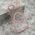 Zastitna futrola COLOR RING MagSafe - iPhone 17 Air roze (MS).