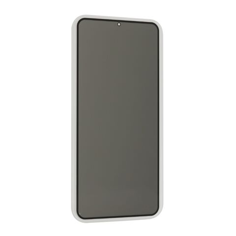 Tempered glass (zastitno staklo za ekran) PRIVACY 2.5D full glue - Samsung Samsung G996 Galaxy S21 Plus crna (MS).