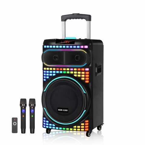 Bluetooth zvucnik NDR-1260 80W crni.