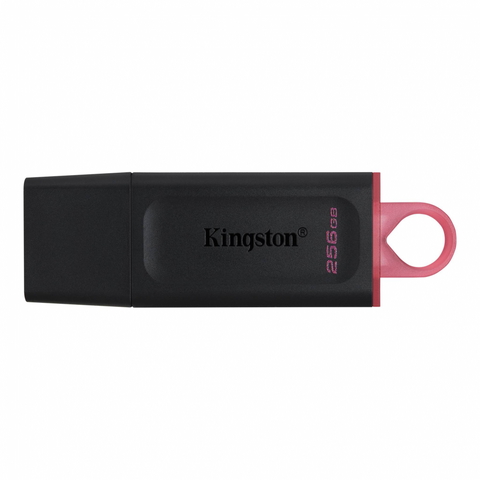 Kingston Data Traveler Exodia Onyx DTXM USB flash memorija 256GB 3.2 crna.