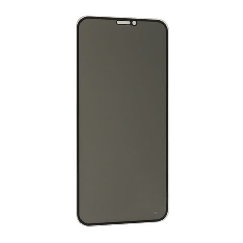 Tempered glass (zastitno staklo za ekran) PRIVACY 2.5D full glue - Iphone XR/11 crna (MS).